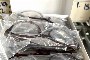 Lot of Assorted Glasses and Cases 1