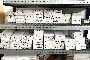 Lot of Assorted Glasses and Cases 2