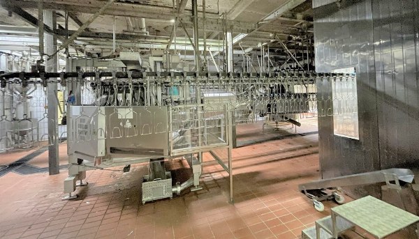 Poultry slaughtering - Plant and machinery - Creditors Agreement n. 31/2019 - Padua Law Court - Sale 2
