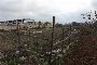 Building land in Putignano (BA) - LOT 4 4