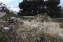 Building land in Putignano (BA) - LOT 7 3