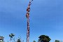 Alfa A694 tower crane 2