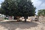 Cuota del 50% de una finca rústica y construcciones en Motril, Granada 5