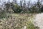 Land with collapsing building in Fiume Veneto (PN) - LOT 1A 6