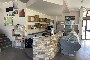 Company branch rental in Castelnuovo del Garda (VR) - Catering Sector 2