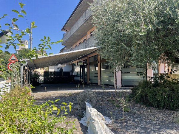 Business rentals - Catering sector - Judicial Administration n. 22/7816 - Verona Law Court
