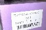 Stock of ANNIC Men's/Women's Underwear Clothing 3