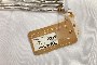 Collana i N. 3 Bracets 2