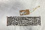 Collana i N. 3 Bracets 6