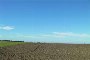 Agricultural land in Montemilone (PZ) 5