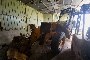 Jcb 530/120 Telescopic Lift 2