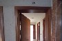 Apartment in La Laguna, Santa Cruz de Tenerife 3