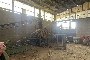 Brick Production Machinery  6