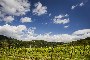 Building and agricultural lands in Montone (PG) 5