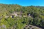 Building and agricultural lands in Montone (PG) 6
