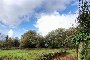 Rural land in Cabanas, A Coruña 5