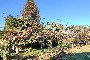 50% share of a house and land concentration in Lg. As Hortas, Santiago de Compostela 5