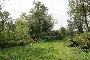 Floodplain lands and ruined buildings in Riva del Po(FE) - LOT F4 5