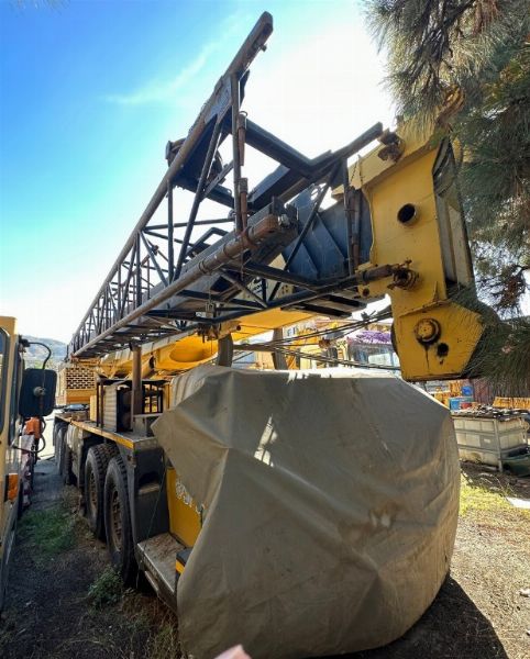 Autogrù Grove TM-990-I ve - Mezzi per movimento terra - İcra Satışı no. 3/2023 - Reggio Calabria Mahkemesi - Satış 3