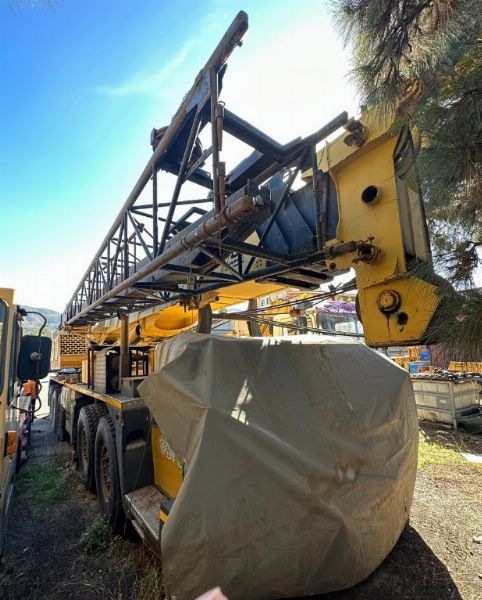 Grue Grove TM-990-I et - Engins de terrassement - Liquidation Judiciaire n. 3/2023 - Tribunal de Reggio Calabria