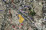 Parcela en el sector "El Pino y Ruaya", Alicante - Lote S48.4 3