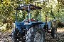 Tracteur Agricole Landini 6500 3