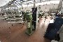 Batti Stira Colli tegund BS4 3