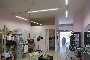 Locale commerciale a Cerea (VR) - LOTTO C1 3