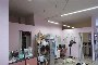 Locale commerciale a Cerea (VR) - LOTTO C1 4