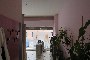 Locale commerciale a Cerea (VR) - LOTTO C1 6