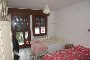 Apartament dhe magazinë në Spinea (VE) - LOTI 12 5