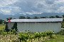 Transfer of Business Branch - Renewable Energy Sector 1