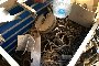 Cassa in Ferro co' Attrezzature da Lavoro 3