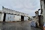 Industrial building with farmhouse and agricultural land in Loreto (AN) - LOT 3 2