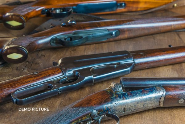 Rifles y carabina - Liquidación Judicial n.15/2023 - Tribunal de Terni