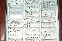 Arracades Petites en Or - N.56 1