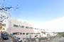 Opificio ad Acquaviva Picena (AP) - SUB 16 1