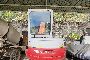 Miniescavatore Takeuchi TB153FR con Martello 2