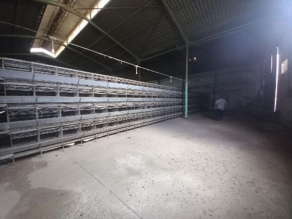 Buildings and poultry machinery in Telde - Commercial Court No. 2 Palmas de Gran Canaria