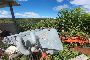 Carro Botte per Fertirrigazione Vigneti 4