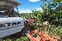 Carro Botte per Fertirrigazione Vigneti 3