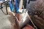 Compressore Aria Fini Rotar 25c10 1