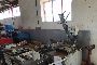Segatrice a Nastro Thomas Trad 282 1