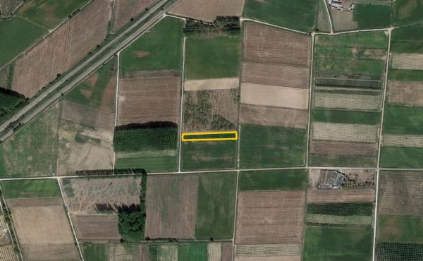 Cuotas de terrenos y de una vivienda rural - Juzgado de lo Mercantil Nº3 de A Coruña - 1