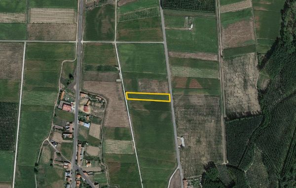 Cuotas de terrenos y de una vivienda rural - Juzgado de lo Mercantil Nº3 de A Coruña - 1