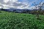 Terreno edificabile a Vicchio (FI) - LOTTO 1 2