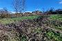 Terreno edificabile a Vicchio (FI) - LOTTO 1 3