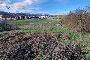 Terreno edificabile a Vicchio (FI) - LOTTO 1 6