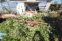 Auctions, Shafts, Coatings and Various Fittings 3