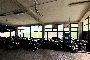 Crust Hides - Approximately N.44136 Pcs 4